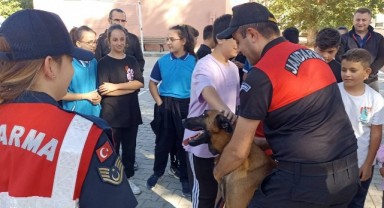 Sahipsiz hayvanların sahibi Jandarma