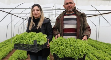 Devlet desteğiyle aktif seracılık dönemi