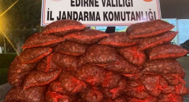 Edirne'de kum midyesi ele geçirildi