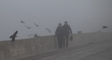 Edirne'de yoğun sis