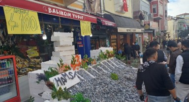 Hamsinin düşüşü devam ediyor