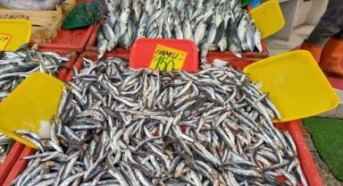 Hamsiye fırtınalı zam