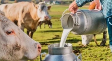 'Süt fiyatları revize edilmeli'
