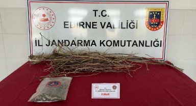 Zehir tacirleri jandarmaya takıldı