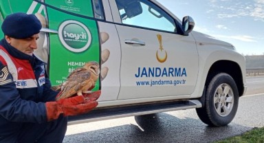 Hayvansever jandarma