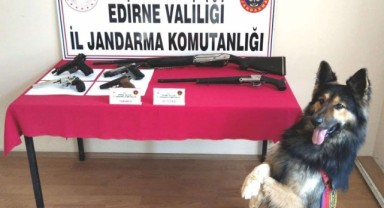 Jandarmadan eğitimli köpeklerle baskın