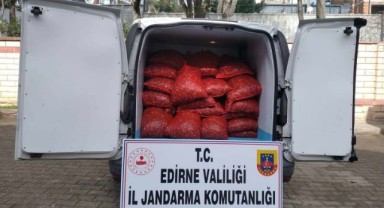 Jandarmanın 1 ton midyeli denetimi