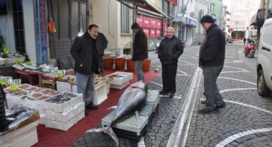 Saros Körfezi'nde 160 kilogramlık orkinos