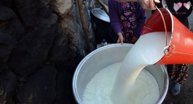 Sütte tek çare zam