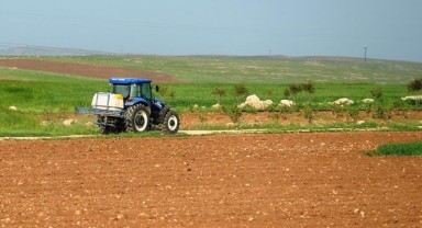 Üreticilere soğuk havada ilaçlama yapmayın uyarısı