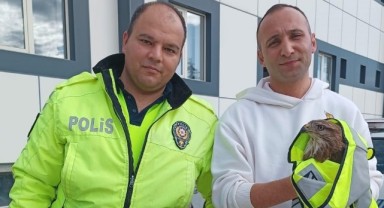 Yaralı kuşa polis himayesi