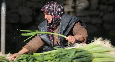 Aile bütçesine katkı sunan kadınlar