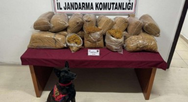 Arananlar ve kaçak ürünlere geçit yok
