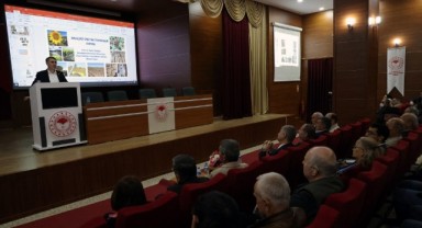 İklim değişikliği ve kuraklık, ayçiçeği üretimini etkiledi