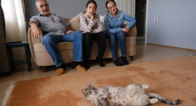 Özaral ailesinin kedi sevgisi