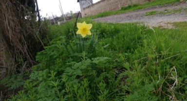 Baharla birlikte doğa uyandı