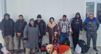 Sınırda köpekli göçmen