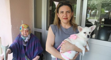 75 yaşındaki kadına köpek saldırısı
