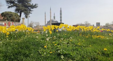 Edirne’de Lale şöleni