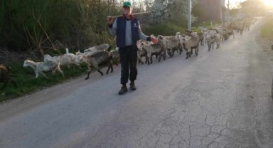 Faydası çok ama alıcısı yok