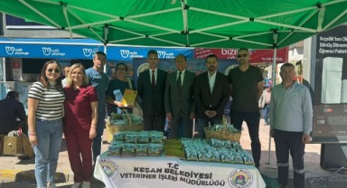 Keşan Belediyesi’nden canlara mama
