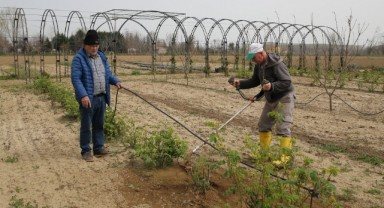Tarımsal araştırma'dan çiftçilere örnek proje