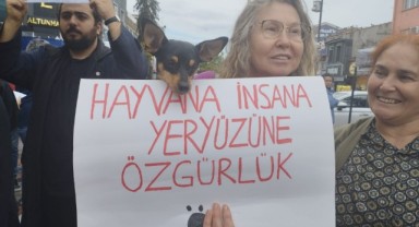 Edirne Kadın Platformu'ndan uyutmaya tepki