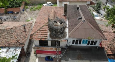 Gelendost TREDAŞ kamerasında