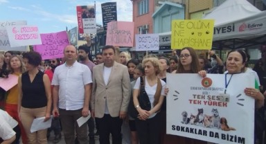 Patili dostlar için toplandılar