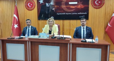 Sivrisinek ile mücadeleye 7 milyon lira