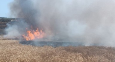 20 dekarlık buğday ekili alan yandı