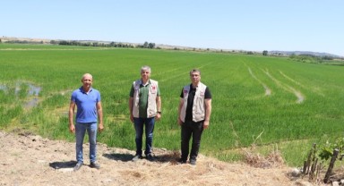Bayazıt, tarım alanlarını inceledi