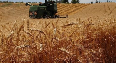 ‘Buğdayda fiyatlar revize edilmelidir’