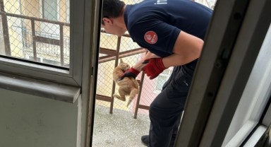İtfaiyeden kedi operasyonu