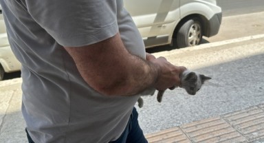 Kedi yavrusu zor anlar yaşattı