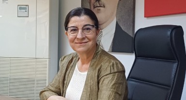 ‘Söğütlüğün ücretli olacağını düşünmüyorum’