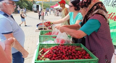 Tadıyla ünlü Enez Çeribaşı kirazı hasadı