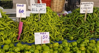 Karaağaç biberi tezgahta