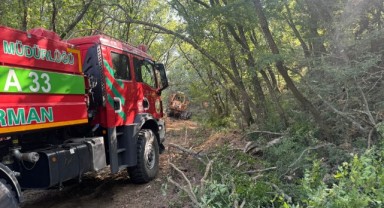 Orman yangınında 250 dekar tarım arazisi yok oldu