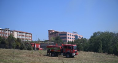 TÜ botanik bahçesindeki yangın söndürüldü