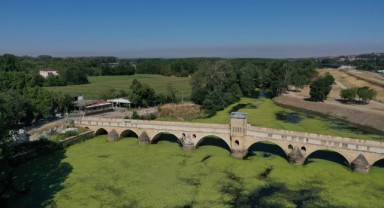 Tunca Nehri yeşile büründü