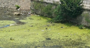 Tunca’nın Edirne’ye yakışmayan görüntüsü