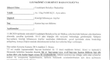 Hayvan katliamına suç duyurusu