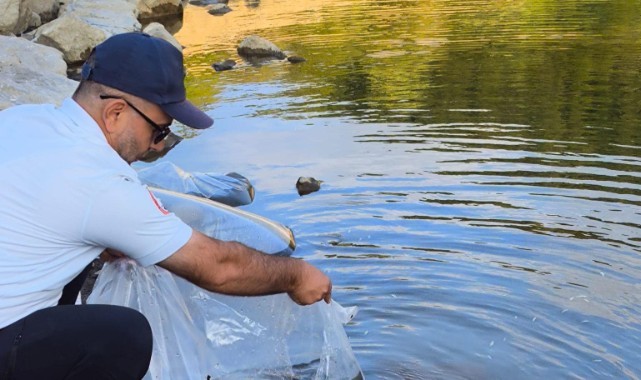 İpsala’dan Yalova’ya sazan