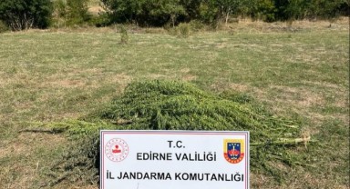 Tarlada uyuşturucu operasyonu
