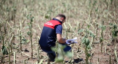 Üreticilere 12 milyon liralık ödeme