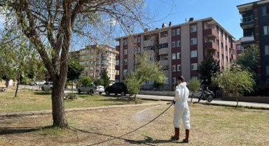 Belediyenin haşere ile mücadelesi