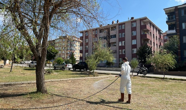 Belediyenin haşere ile mücadelesi