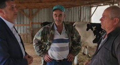 ‘Böyle giderse içecek süt bulamayız’
