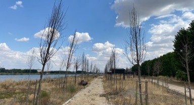‘Doğayı değil, betonu seviyorsunuz’